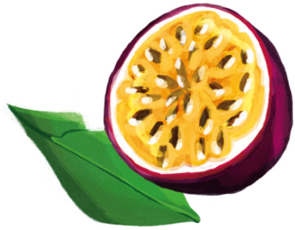 Fruit mangue